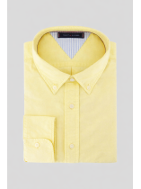 Chemise Oxford Grande Taille Jaune Pastel