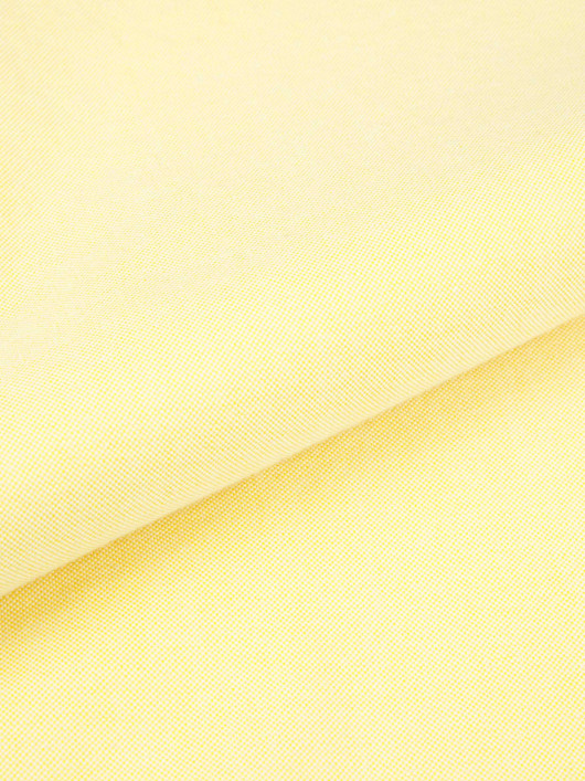 Chemise Oxford Grande Taille Jaune Pastel