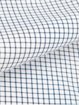 Chemise à Carreaux Grande Taille Blanche et Bleue