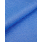 Chemise en Lin Grande Taille Bleue