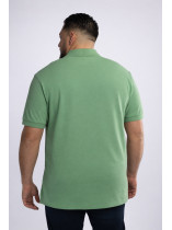 Polo Piqué Uni Grande Taille Vert