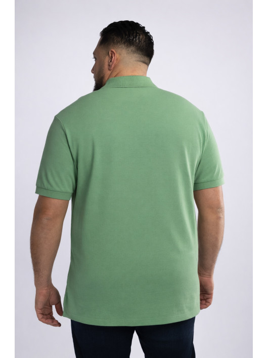 Polo Piqué Uni Grande Taille Vert