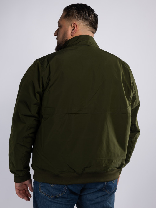 Blouson Col Droit Grande Taille Vert