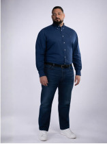 Chemise Popeline Grande Taille Bleue