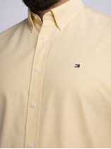 Chemise Oxford Grande Taille Jaune Pastel