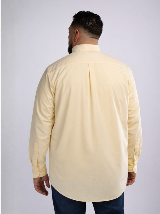 Chemise Oxford Grande Taille Jaune Pastel