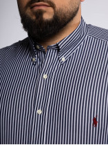 Chemise Rayée Grande Taille Marine et Blanche