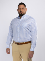 Chemise Coton Oxford Rayée Grande Taille Bleue et Blanche