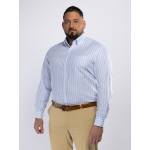 Chemise Coton Oxford Rayée Grande Taille Bleue et Blanche