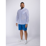 Chemise Voile de Coton Rayée Grande Taille Bleue et Blanche