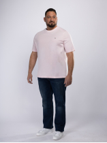 Tee-Shirt Uni Grande Taille Rose Clair
