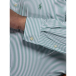 Chemise Rayée Grande Taille Verte et Blanche
