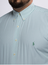 Chemise Rayée Grande Taille Verte et Blanche