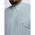 Chemise Rayée Grande Taille Verte et Blanche