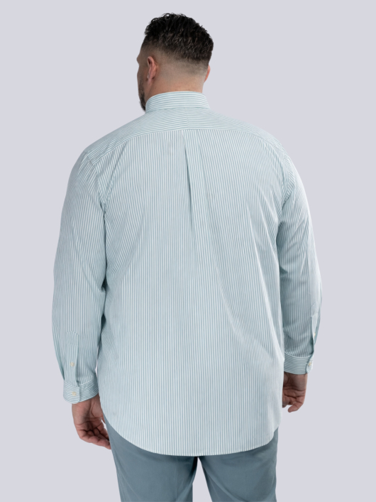 Chemise Rayée Grande Taille Verte et Blanche