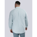 Chemise Rayée Grande Taille Verte et Blanche