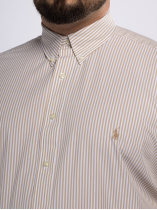 Chemise Rayée Grande Taille Beige et Blanche