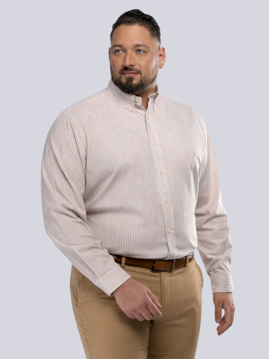 Chemise Rayée Grande Taille Beige et Blanche