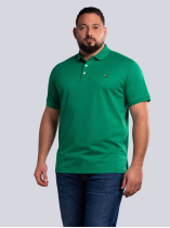 Polo Piqué Uni Grande Taille Vert