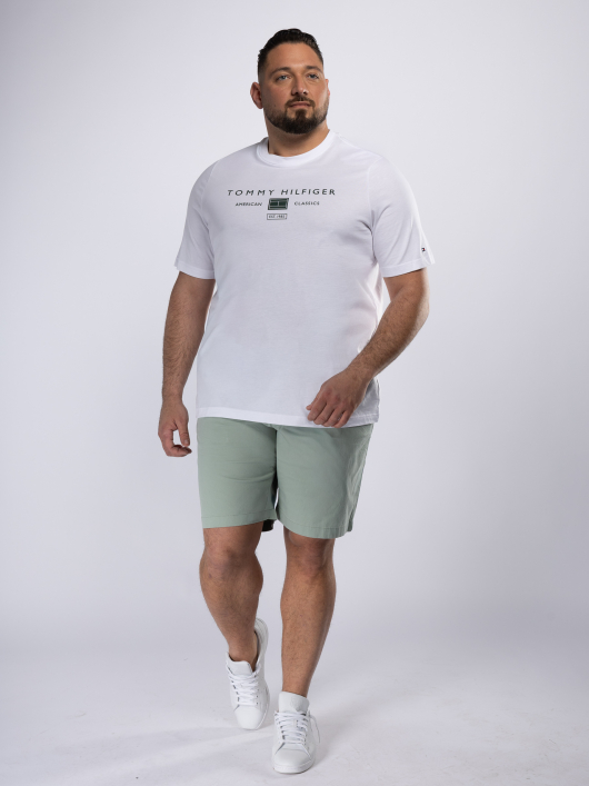 Bermuda Droit Grande Taille Vert Pastel