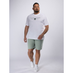 Bermuda Droit Grande Taille Vert Pastel