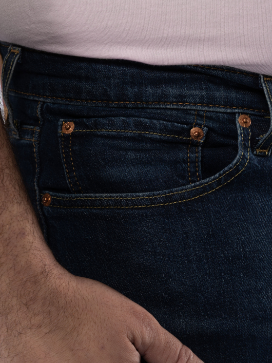 Jean 541 Plau a Tune Adv Grande Taille Brut