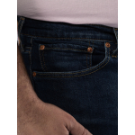 Jean 541 Plau a Tune Adv Grande Taille Brut