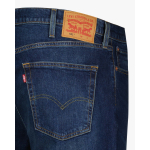 Jean 541 Play a Tune Adv pour Homme Grand Brut