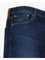 Jean 541 Plau a Tune Adv Grande Taille Brut