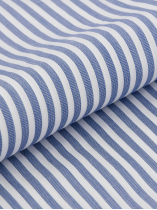 Chemise Rayée Max Grande Taille Marine et Blanche