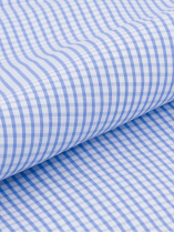 Chemise à Carreaux Max Grande Taille Bleue et Blanche