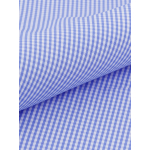 Chemisette Vichy Zack-Léo Grande Taille Bleue et Blanche