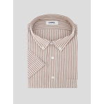 Chemisette Seersucker Zack Grande Taille Marron et Blanche