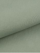 Pantalon Chino Alex Grande Taille Vert Amande