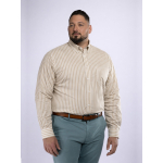Chemise Rayée Ralph Grande Taille Beige et Blanche