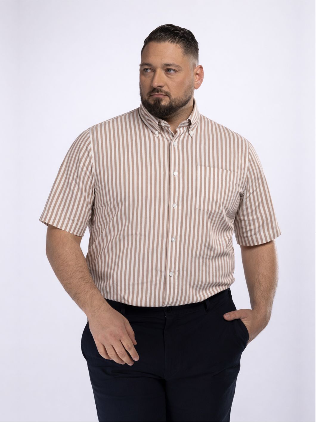 Chemisette Seersucker Zack Grande Taille Marron et Blanche