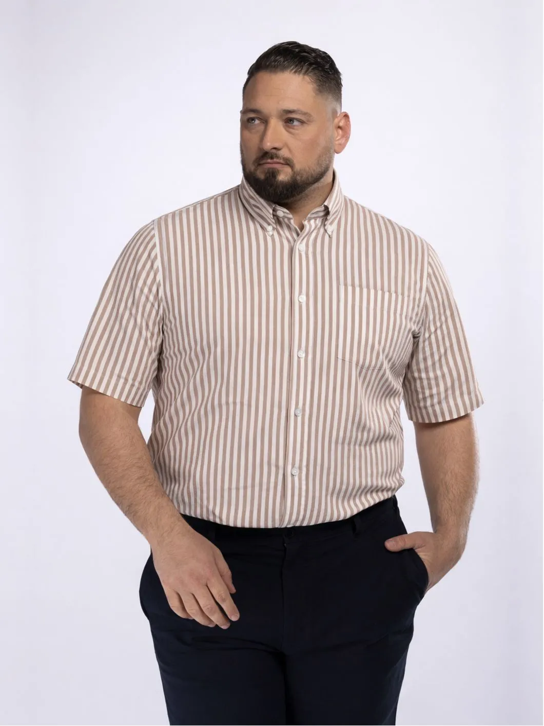 Chemisette Seersucker Zack Grande Taille Marron et Blanche