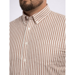 Chemisette Seersucker Zack Grande Taille Marron et Blanche