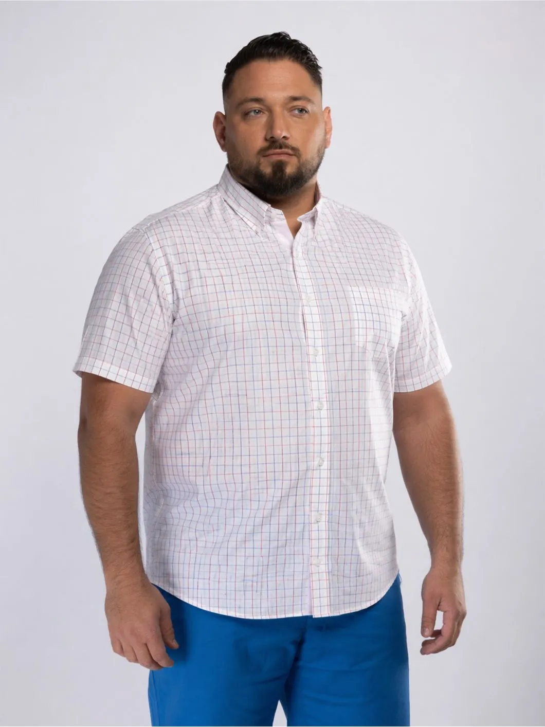 Chemisette à Carreaux Zack-Léo Grande Taille Blanche, Bleue et Blanche