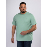 Tee-Shirt Interlock Grande Taille Vert
