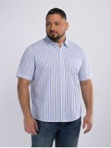 Chemisette à Carreaux Greg Grande Taille Blanche et Bleue