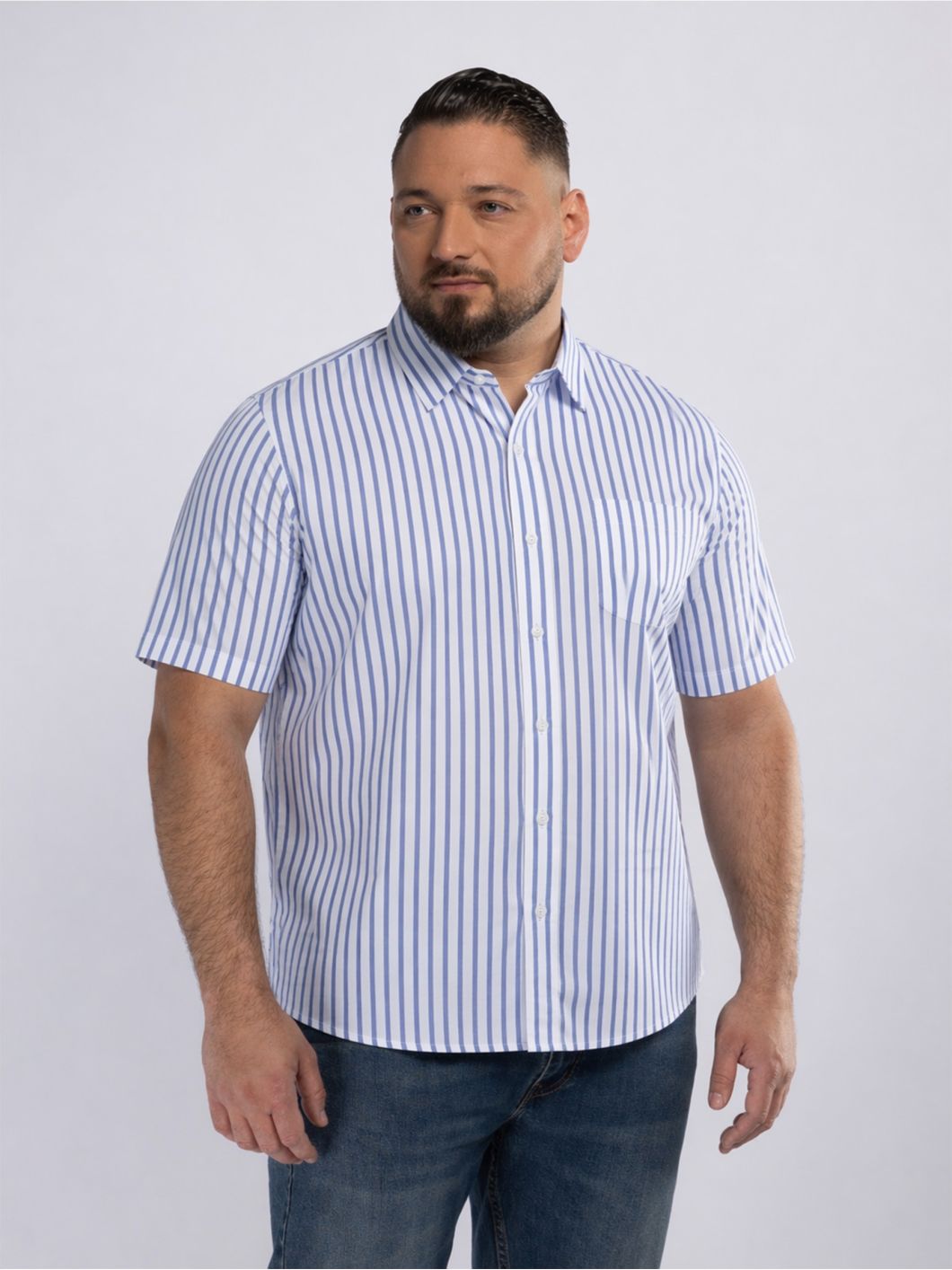 Chemisette à Carreaux Greg Grande Taille Blanche et Bleue