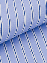Chemise Rayée Double Retors Roméo-Léo Grande Taille Bleue et Blanche
