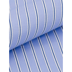 Chemise Rayée Double Retors Roméo-Léo Grande Taille Bleue et Blanche