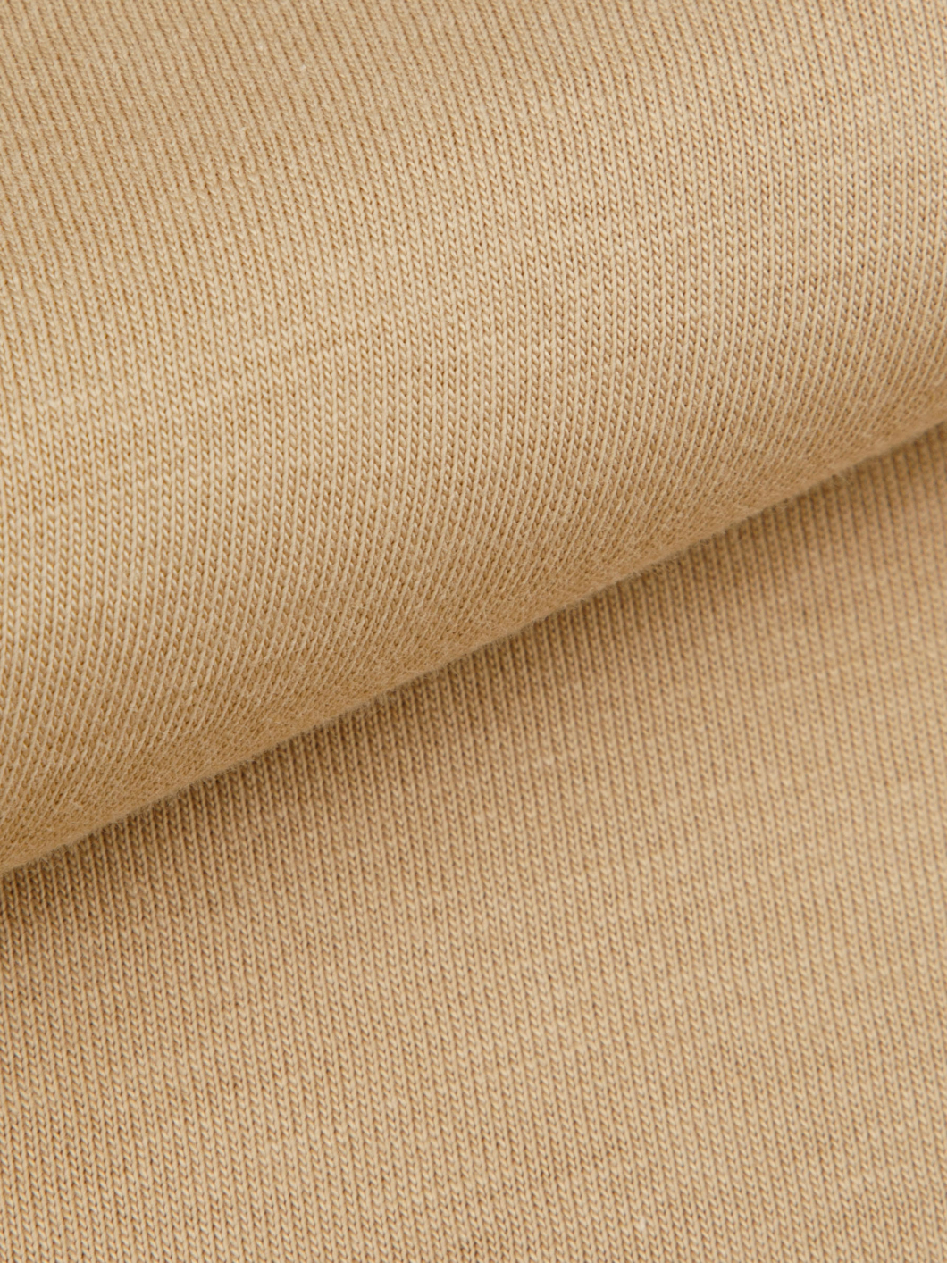Tee-shirt Jersey Grande Taille Beige
