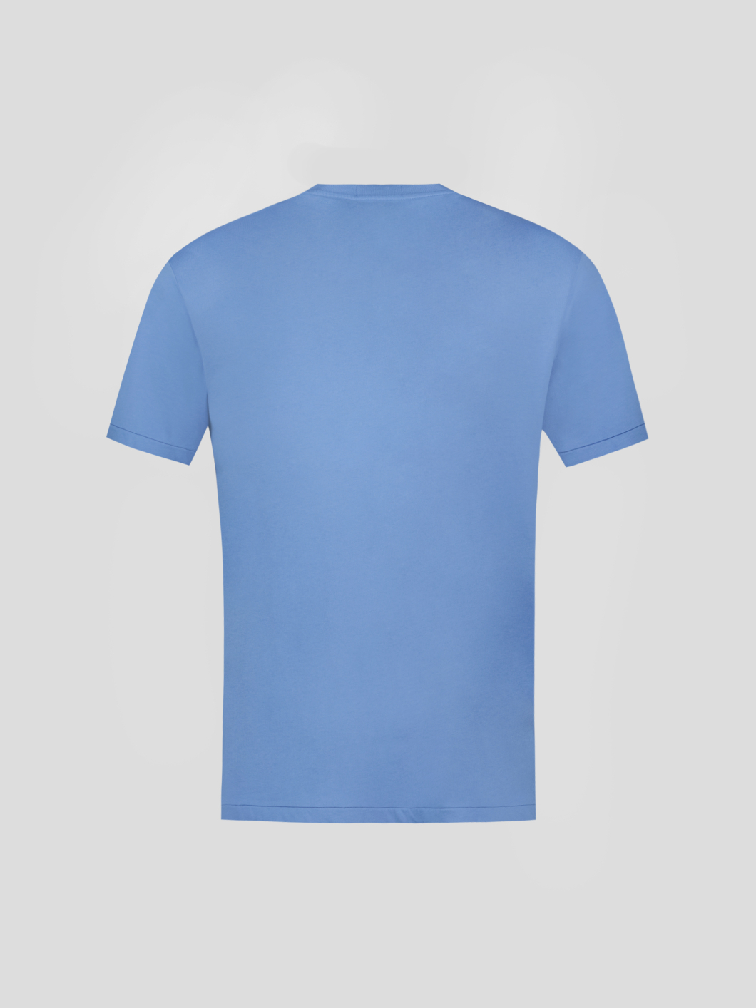Tee-shirt Jersey POLO R.L. Grande Taille Ciel