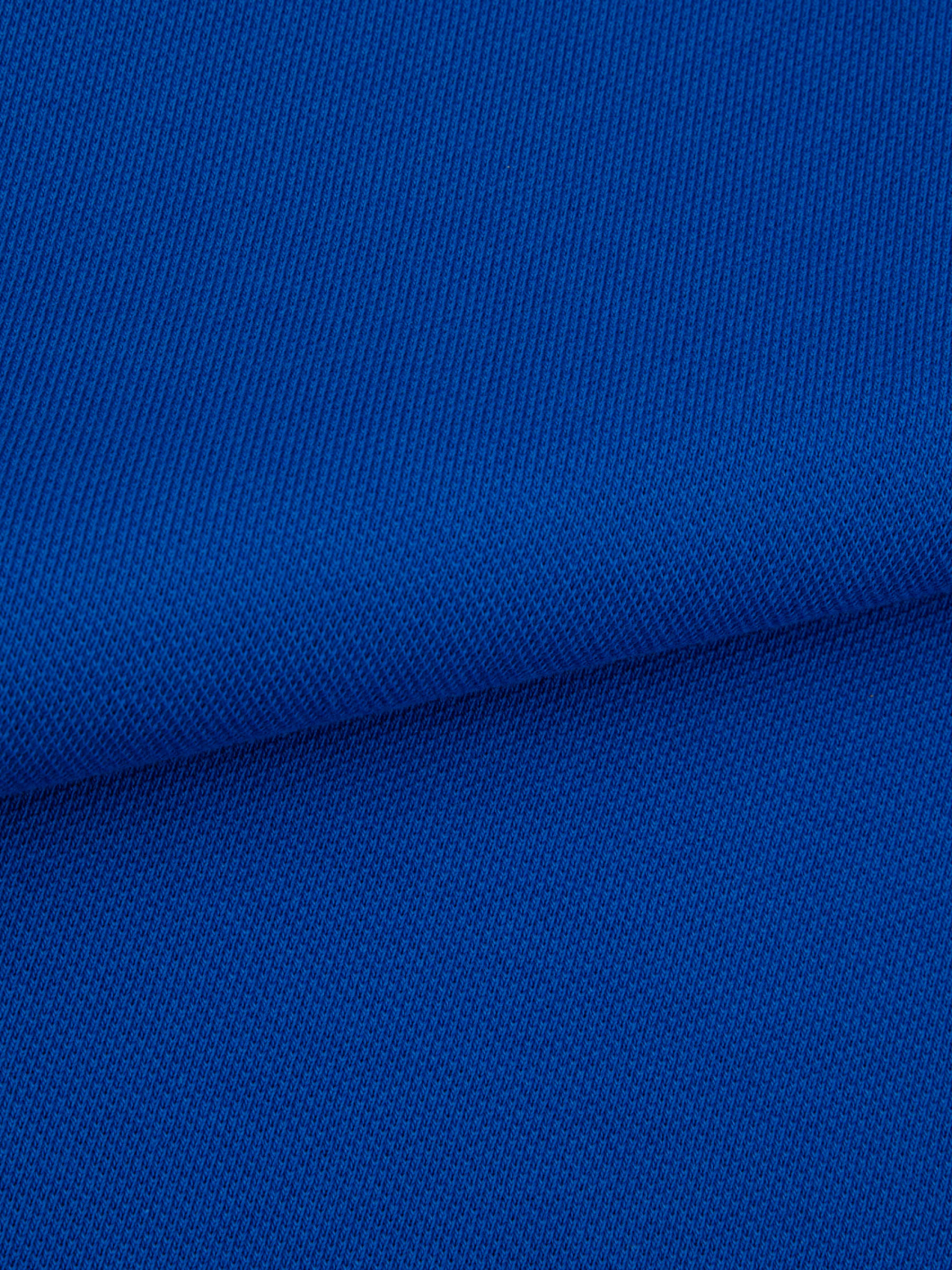 Polo Coton Piqué Grande Taille Bleu