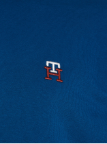 Sweat Capuche Bleu Tommy Hilfiger Grande Taille  homme grande taille - Capelstore