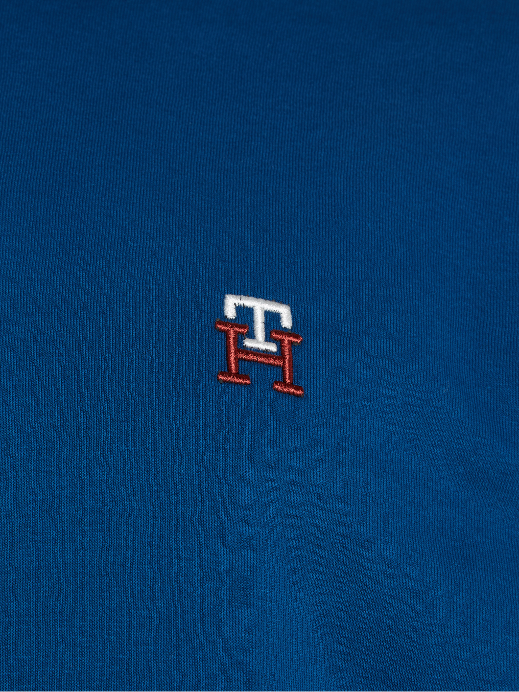 Sweat Capuche Bleu Tommy Hilfiger Grande Taille  homme grande taille - Capelstore