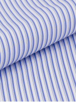 Chemise Rayée Max Double Retors Grande Taille Bleue et Blanche